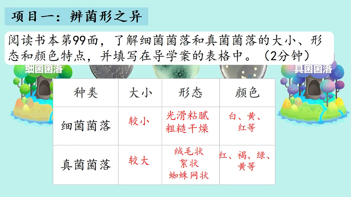 17672779第5页
