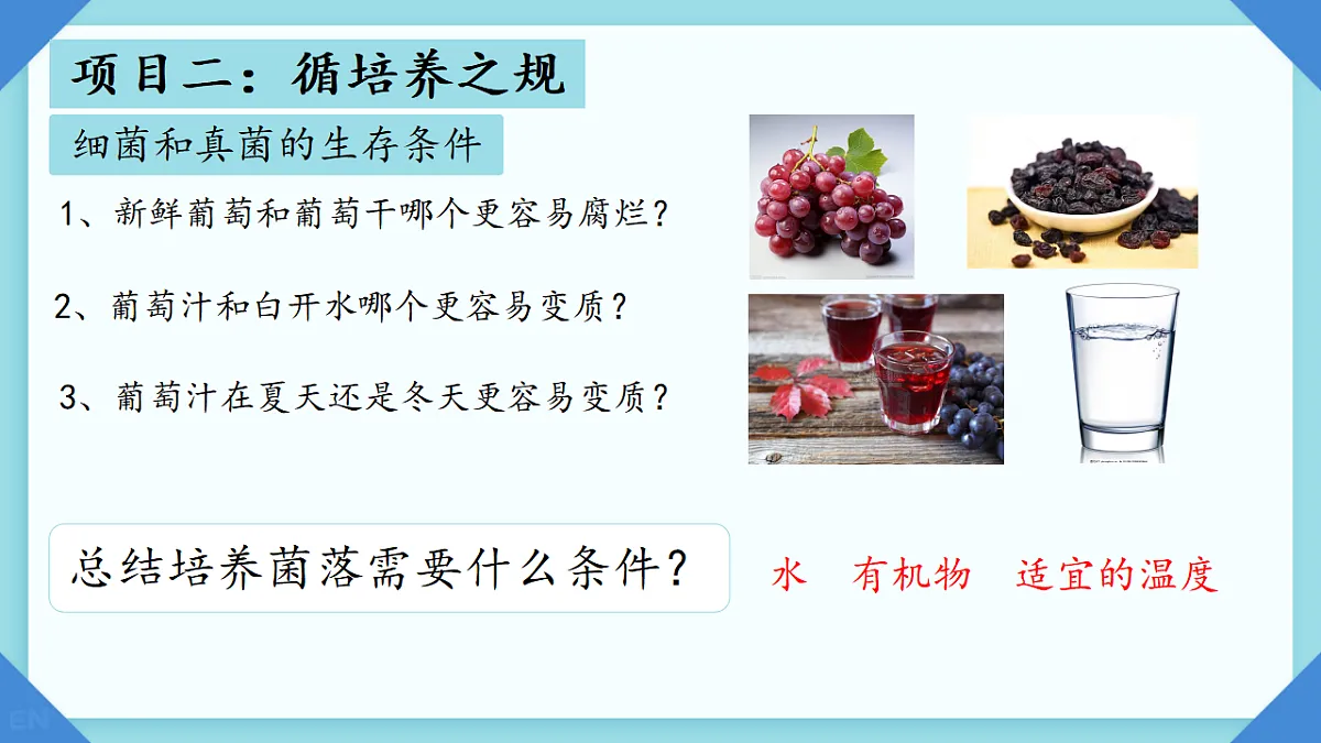 17672779第6页