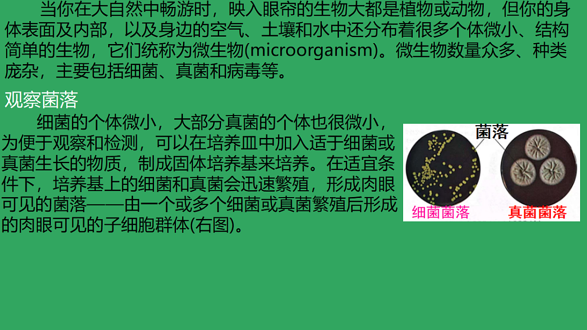 17672780第6页