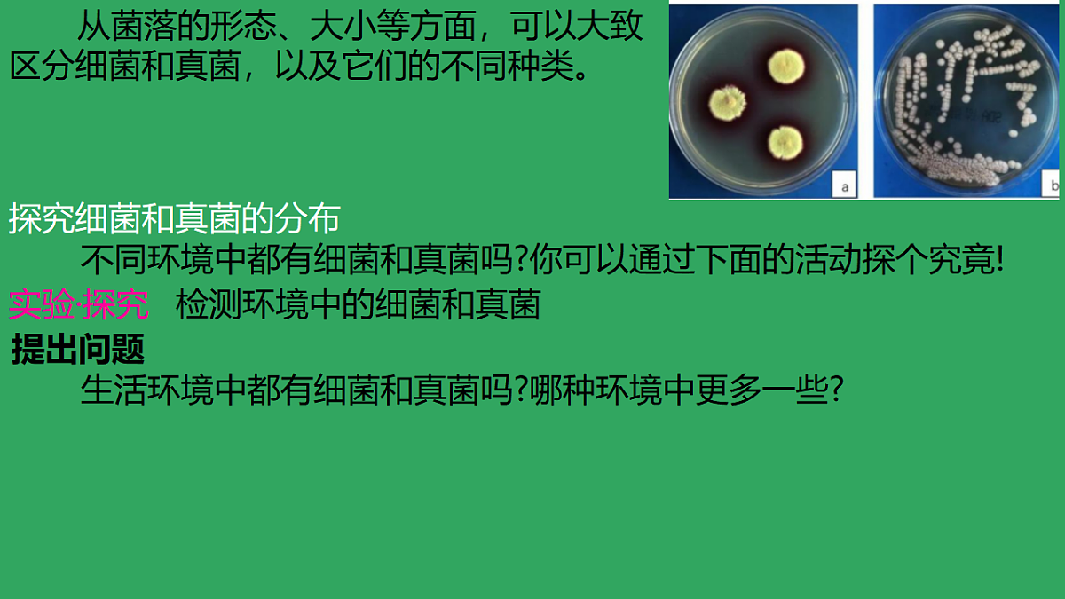 17672780第8页