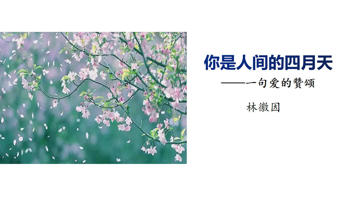 17673076第2页