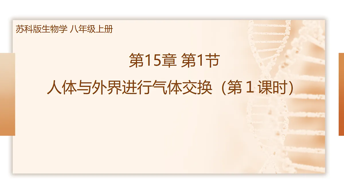 17674356第1页