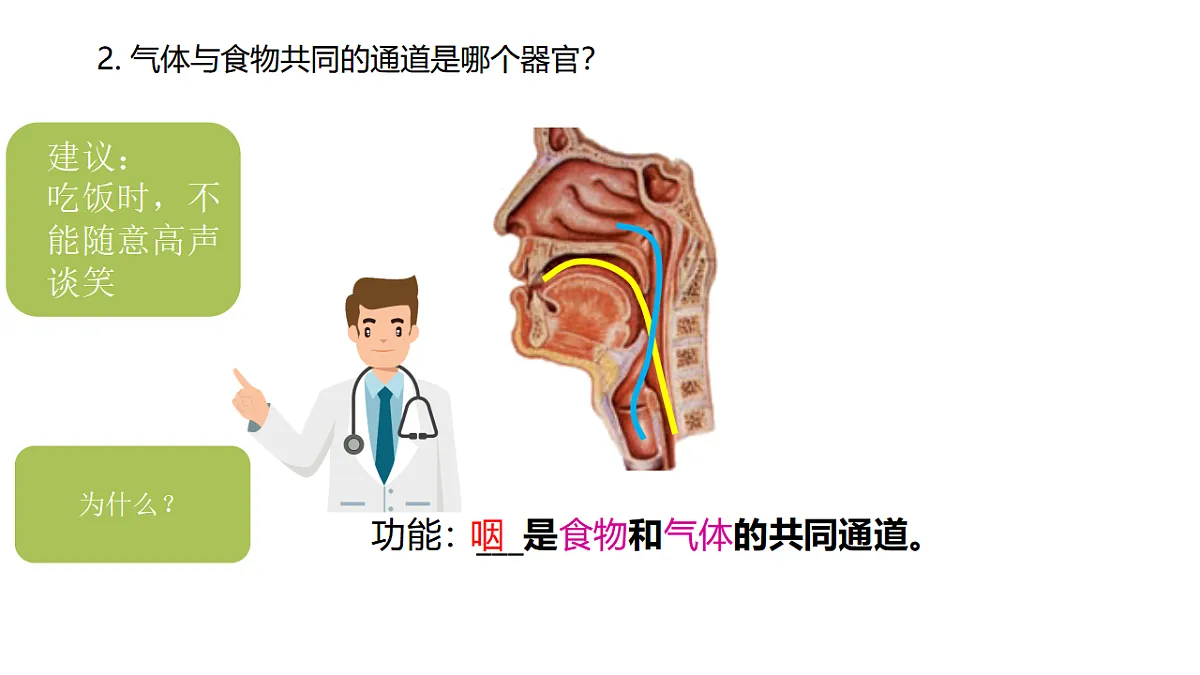 17674356第5页