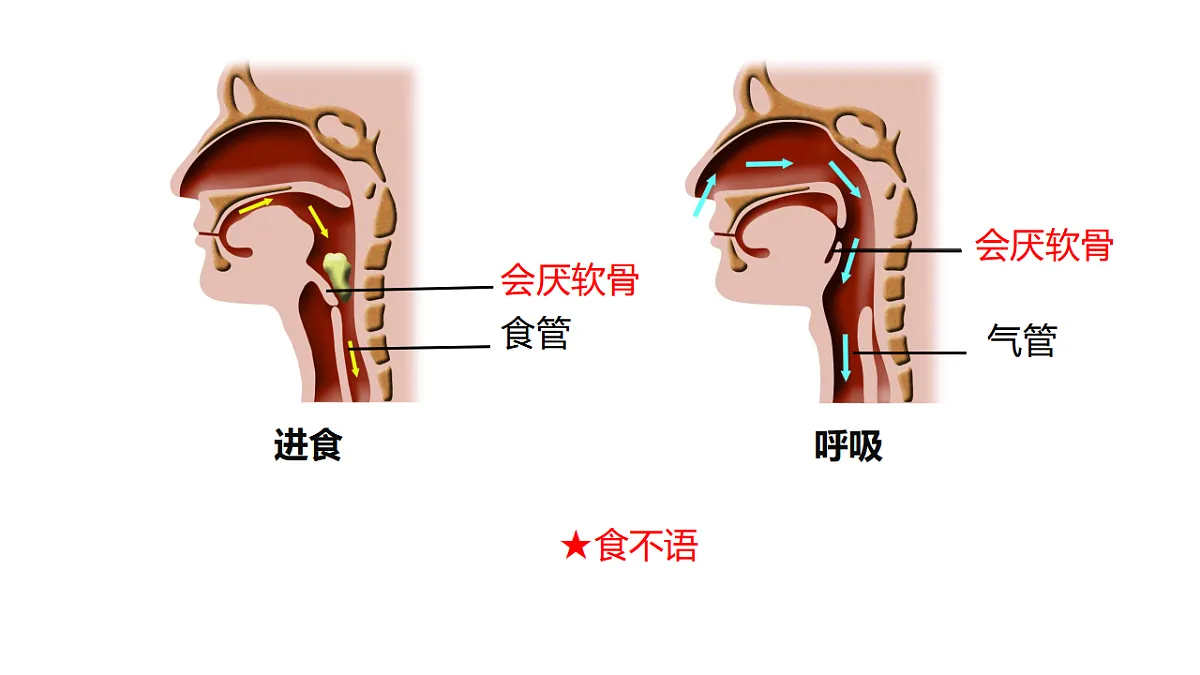 17674356第6页