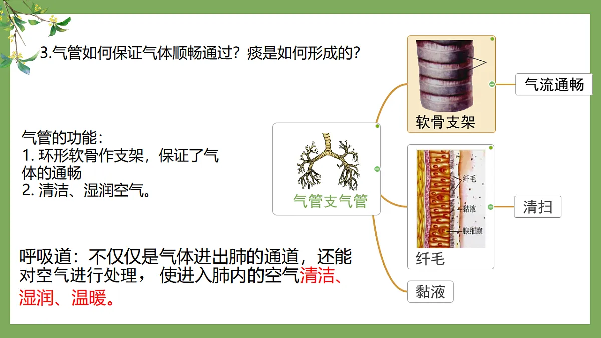 17674356第7页
