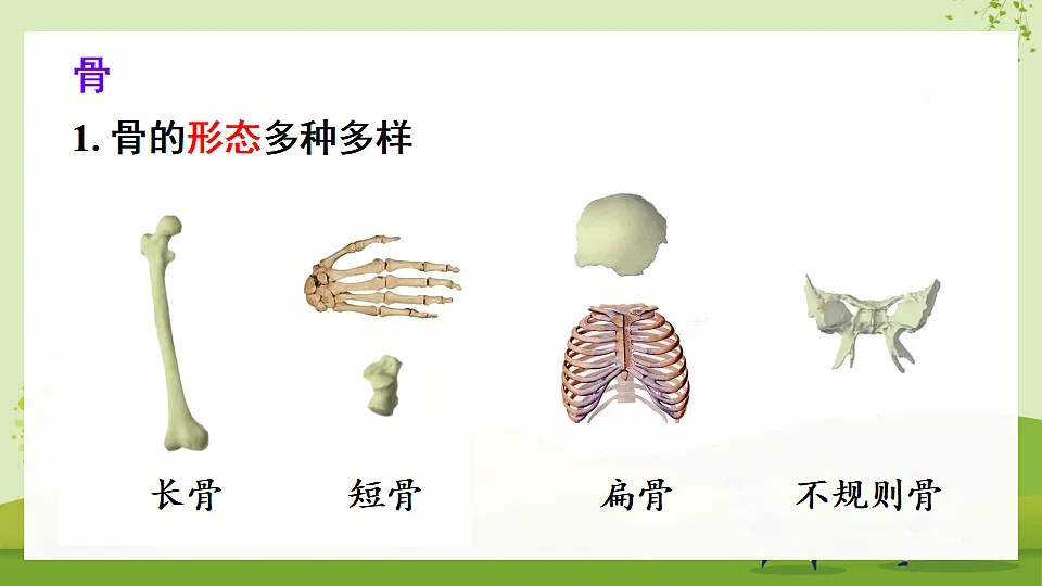 17675013第3页