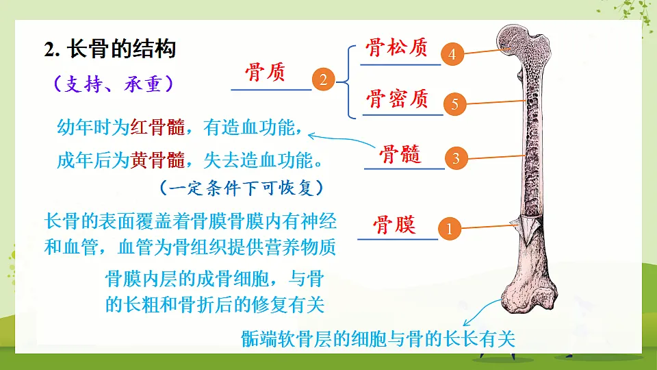 17675013第4页