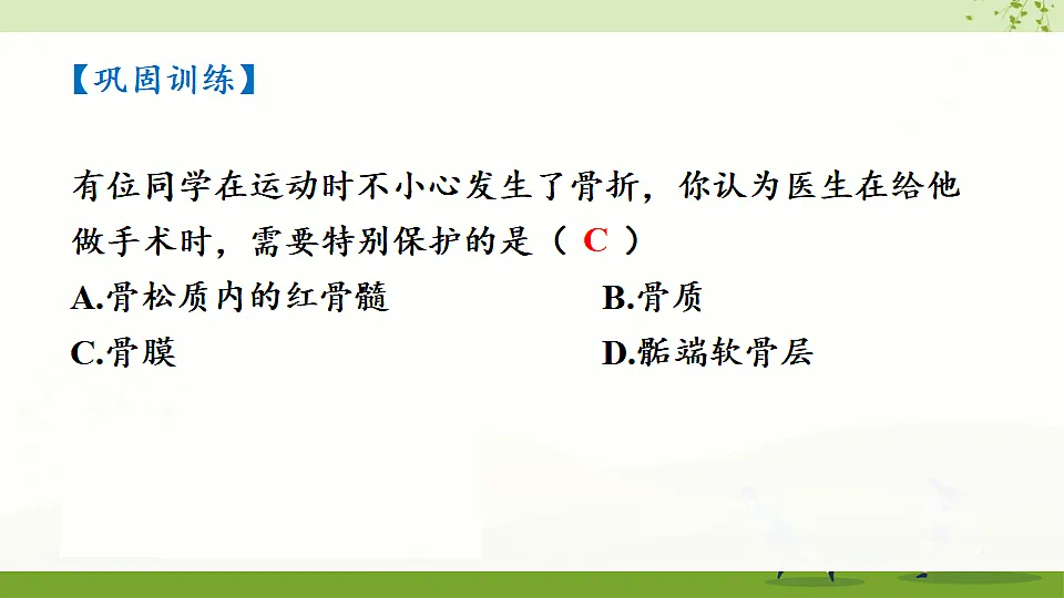 17675013第5页