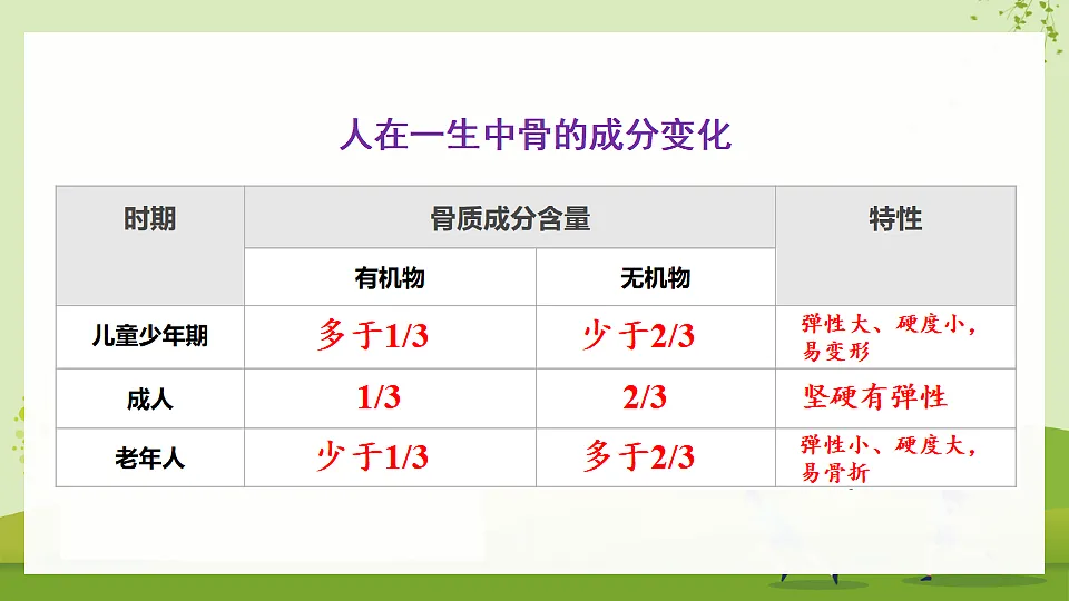 17675013第7页