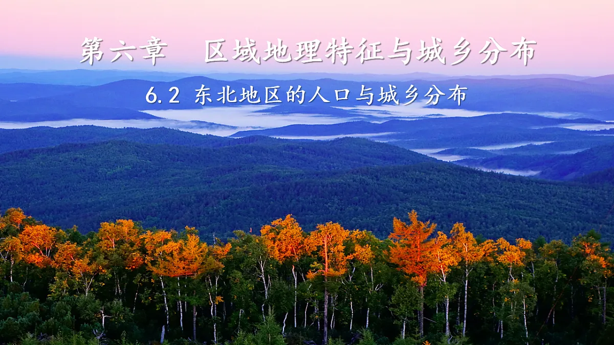 17675046第1页