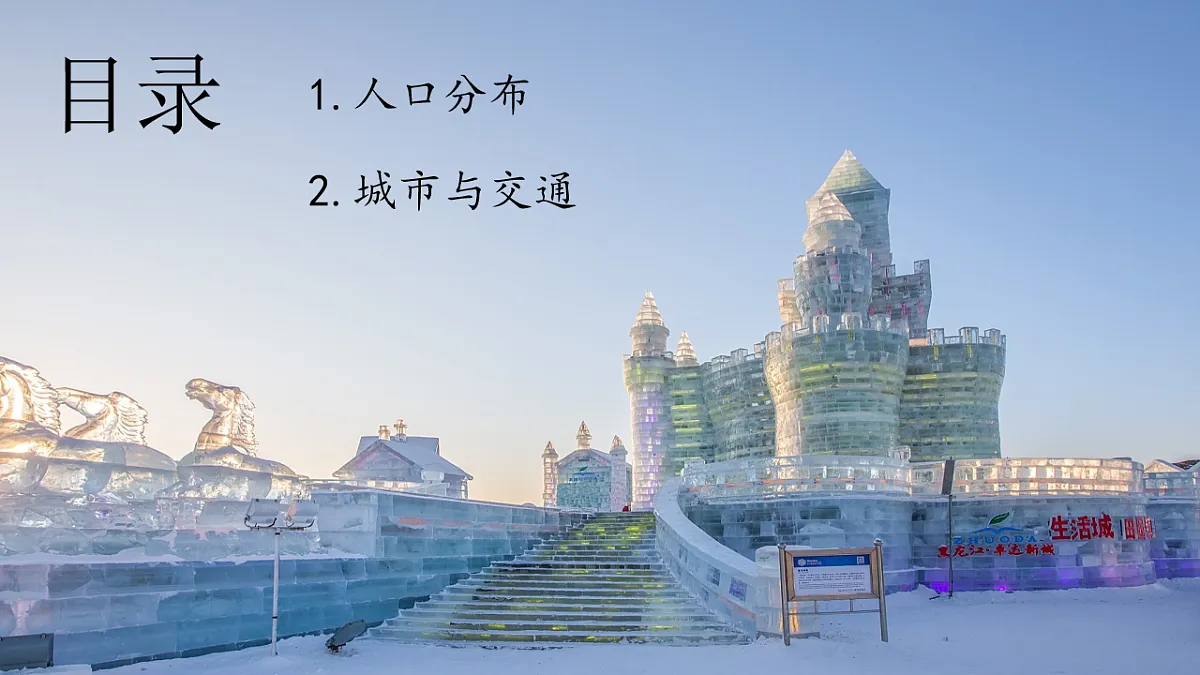 17675046第3页