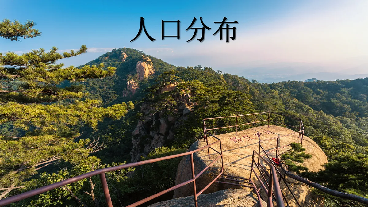 17675046第6页