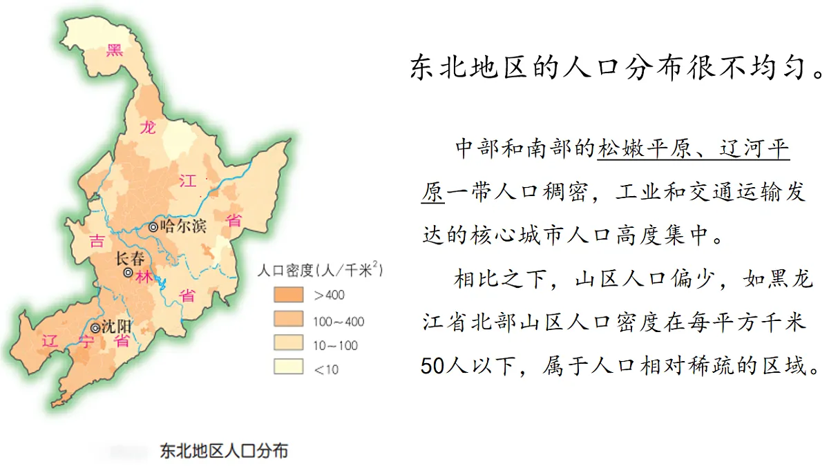 17675046第7页