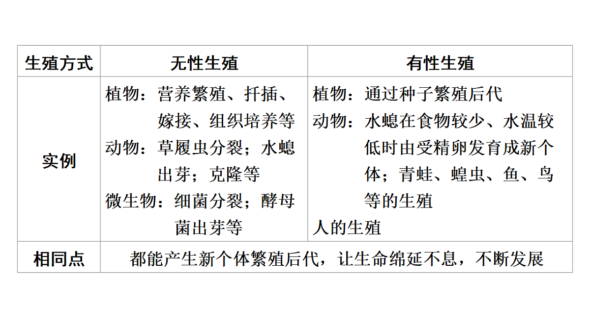 17675239第4页