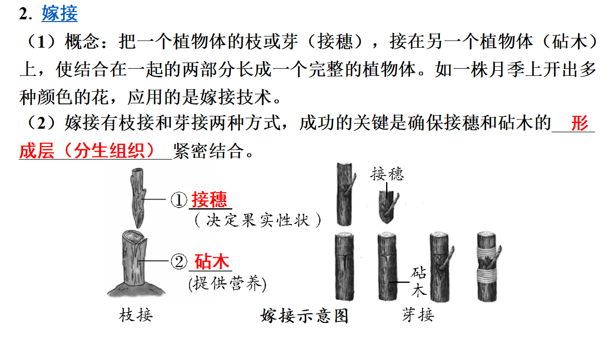 17675239第6页