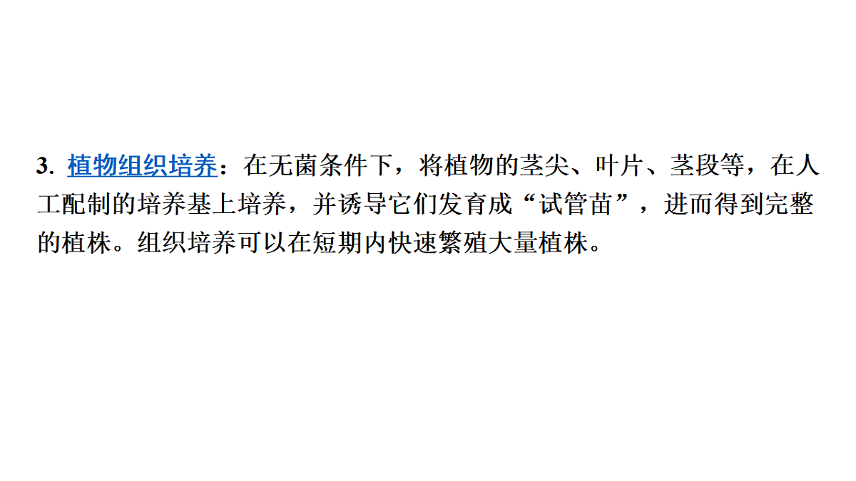 17675239第7页