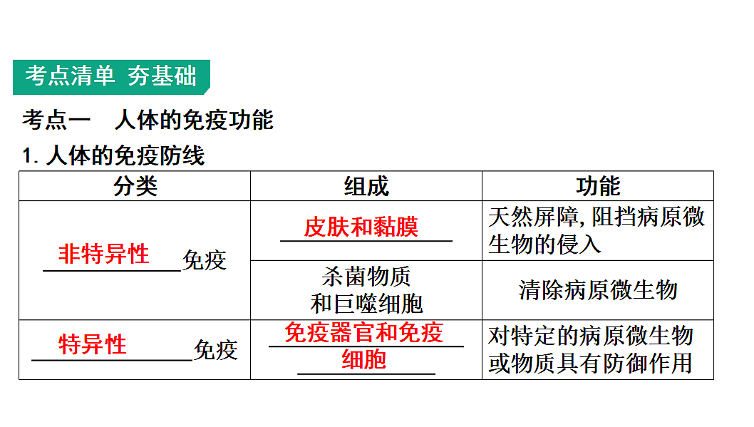 17675246第2页