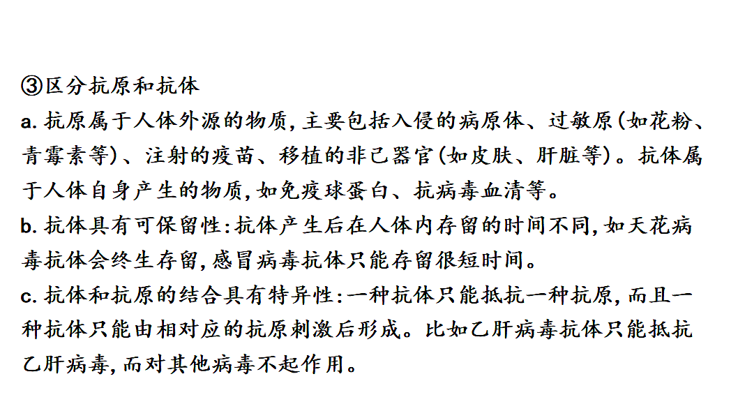 17675246第4页