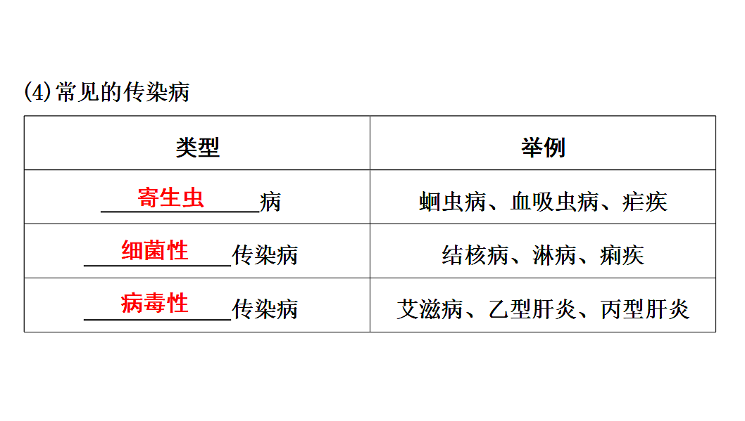 17675246第7页
