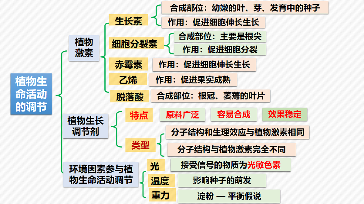 17675754第2页