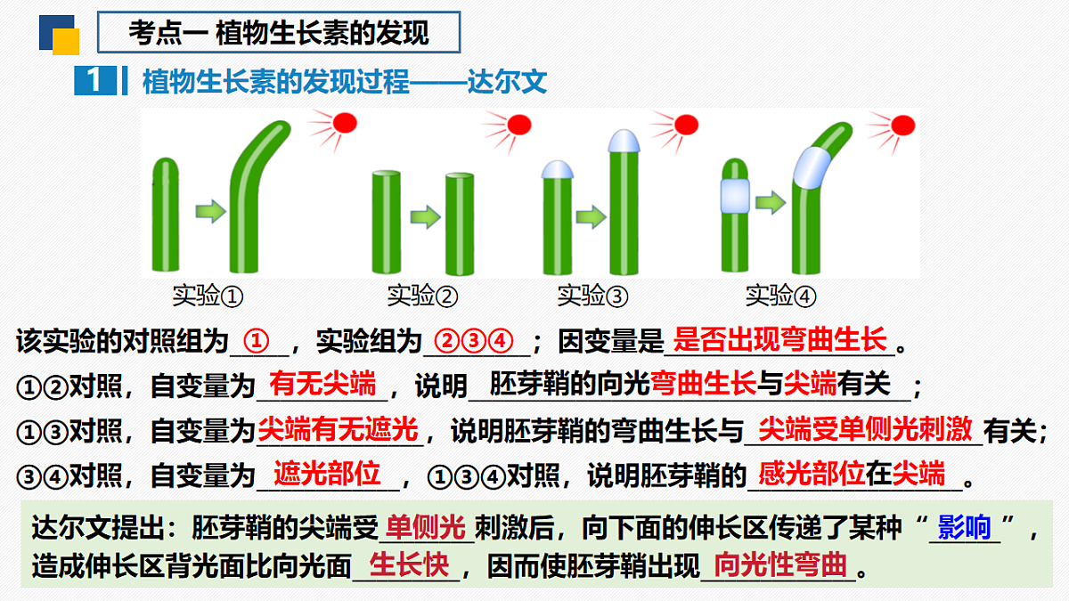 17675754第3页