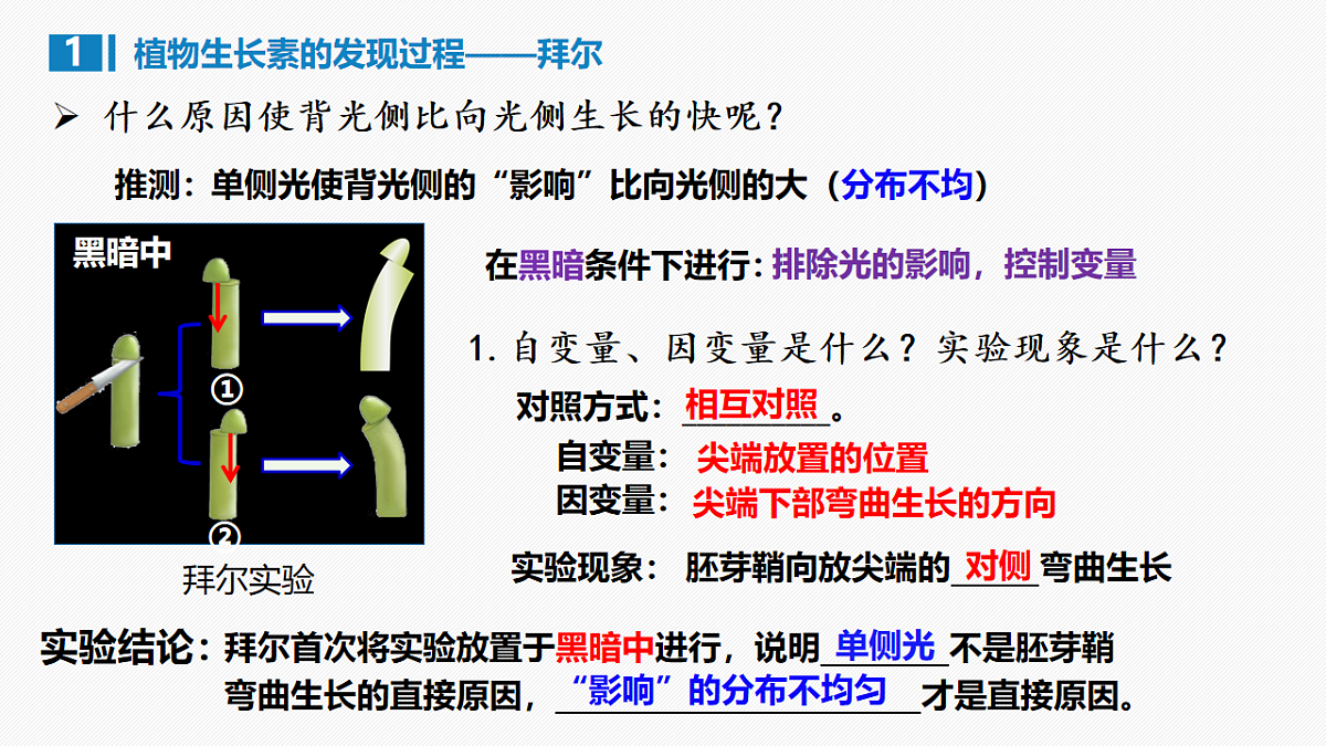 17675754第5页