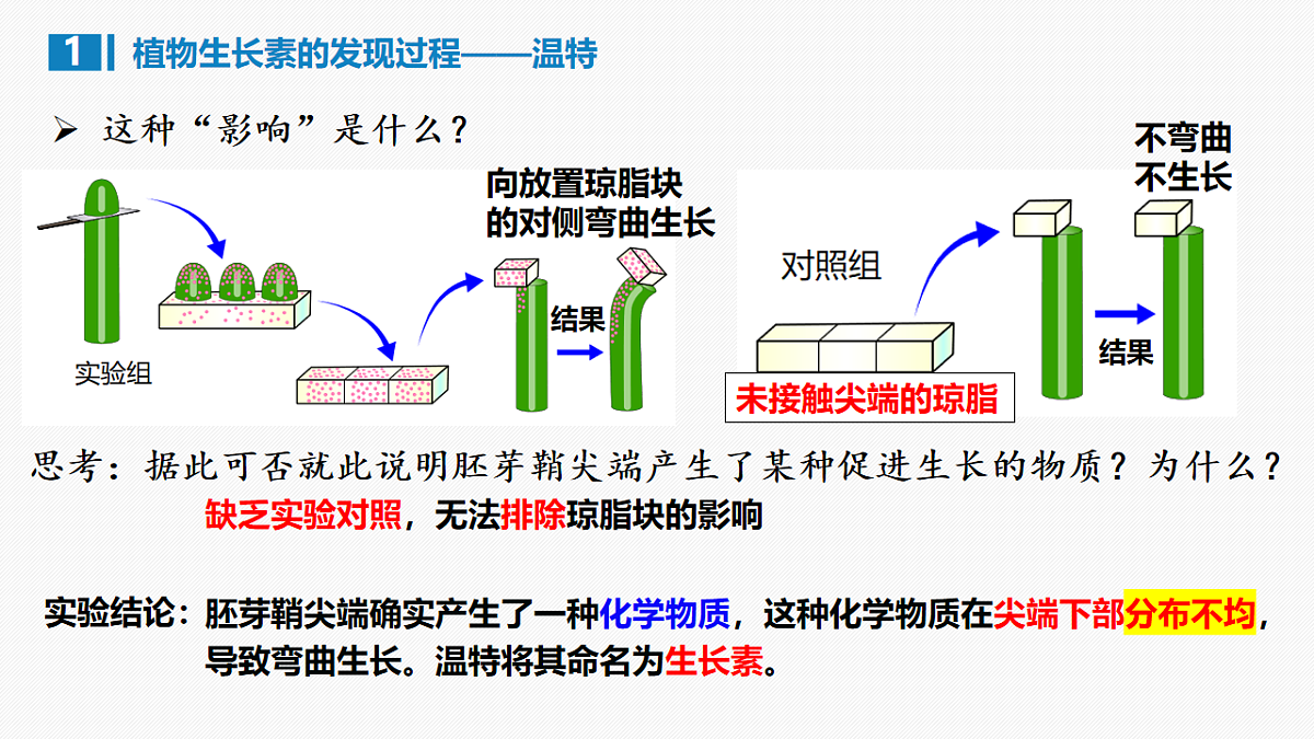 17675754第6页