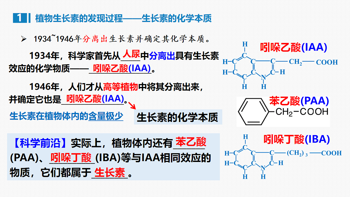 17675754第7页