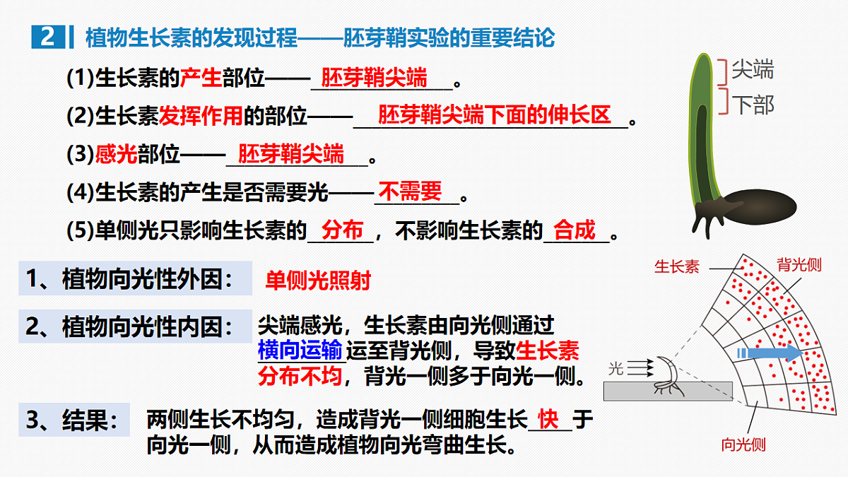 17675754第8页