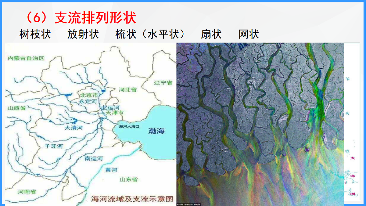 17675812第7页