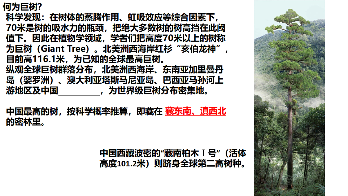 17675815第4页