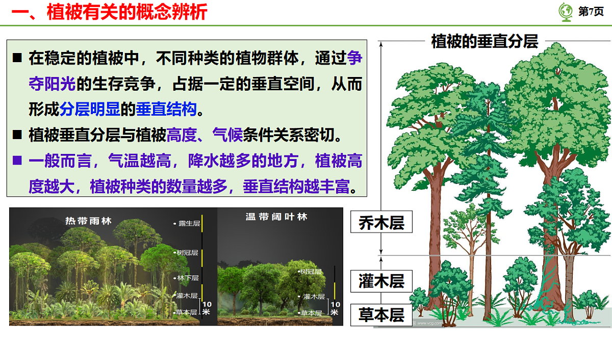 17675815第7页