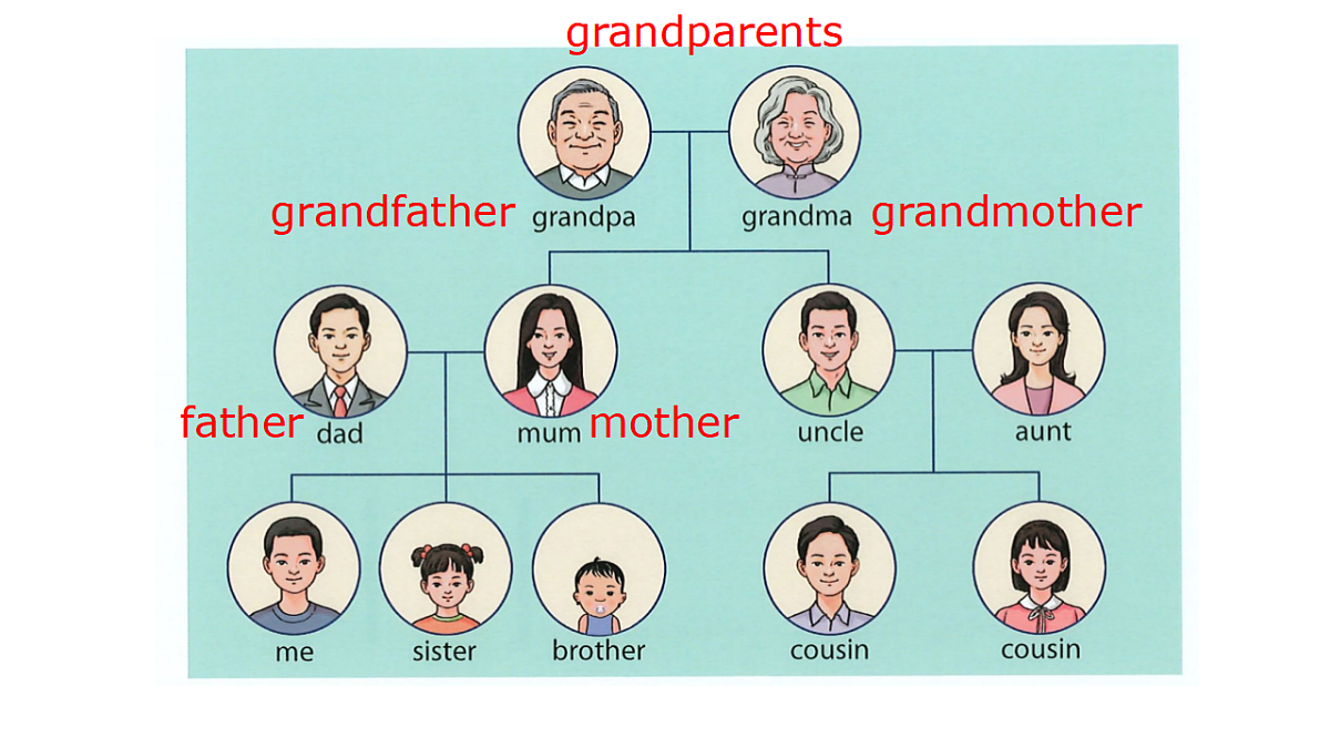 17677391第2页