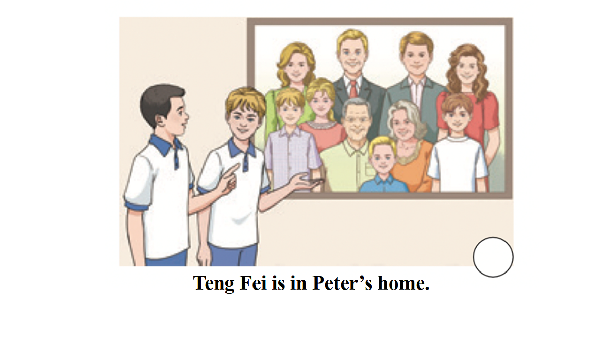 17677391第5页