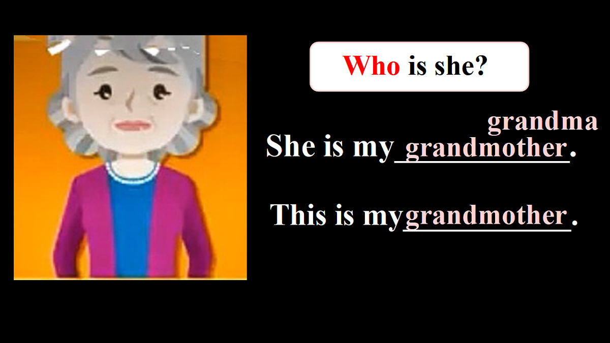 17677394第7页