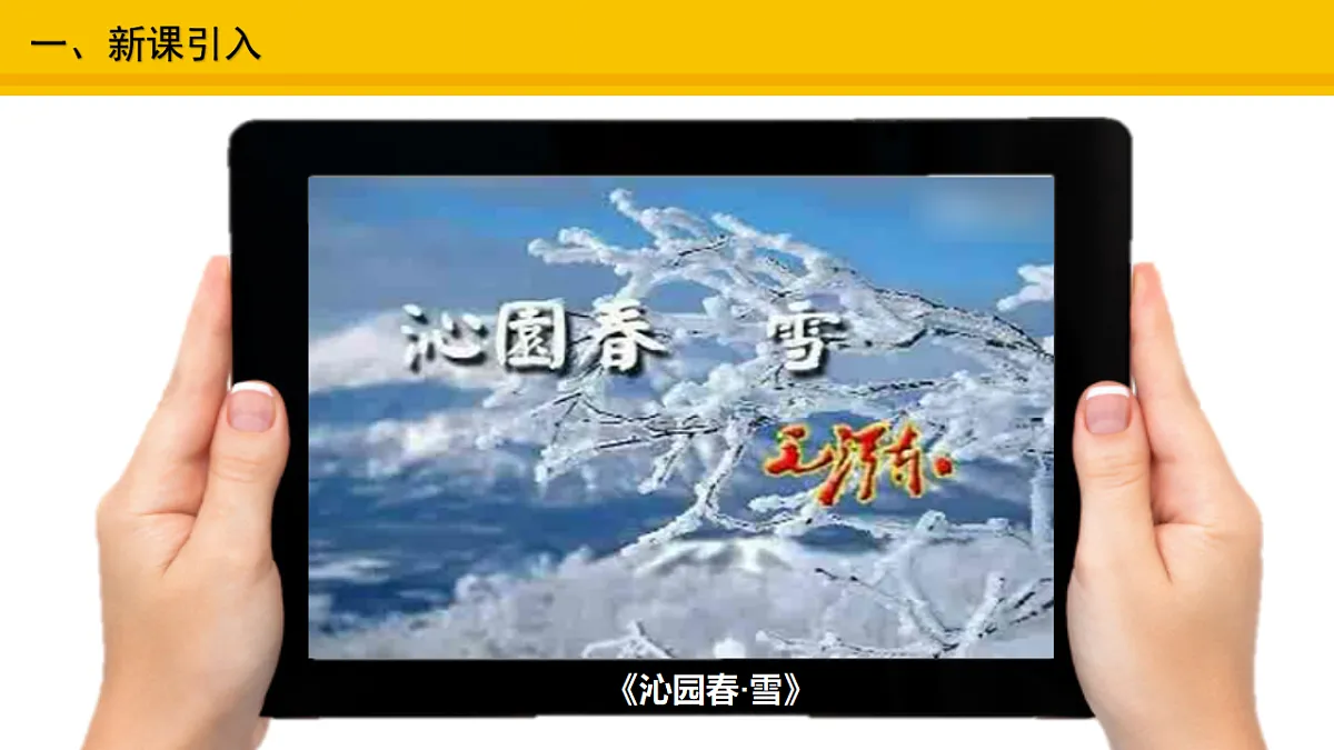 17677906第2页
