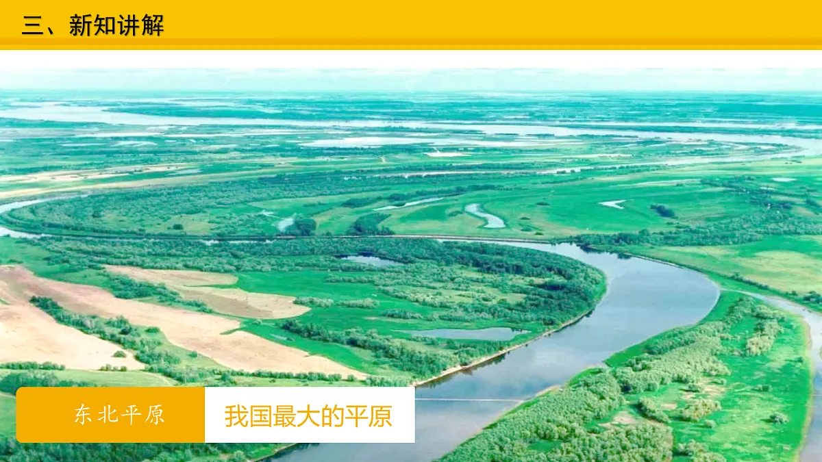 17677906第6页