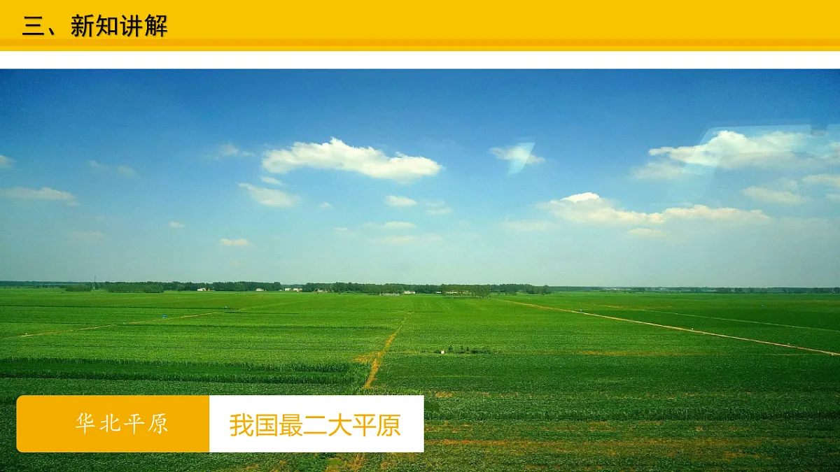 17677906第7页