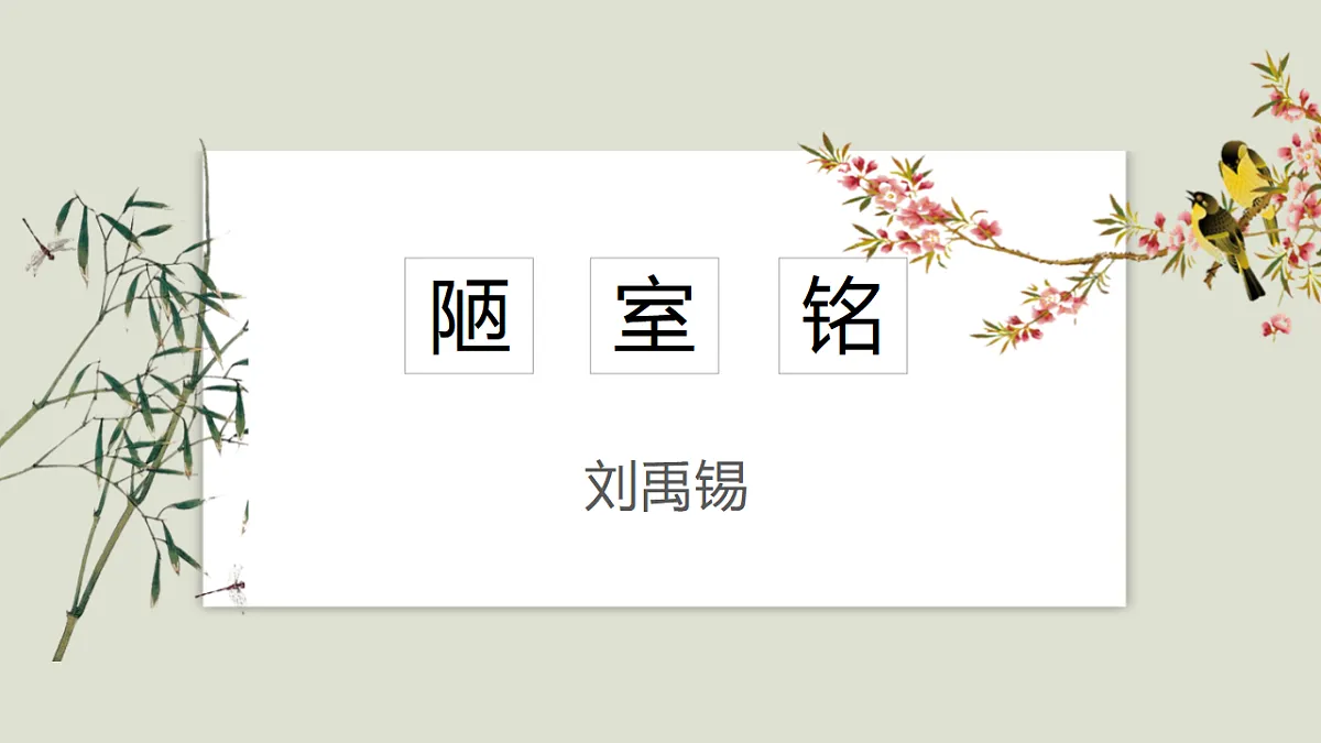 17678079第1页