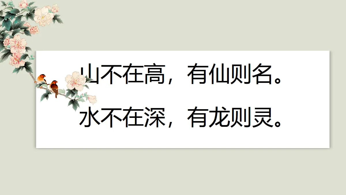17678079第5页