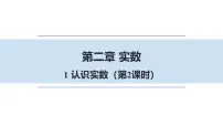 初中数学北师大版（2024）八年级上册（2024）1 认识实数示范课课件ppt