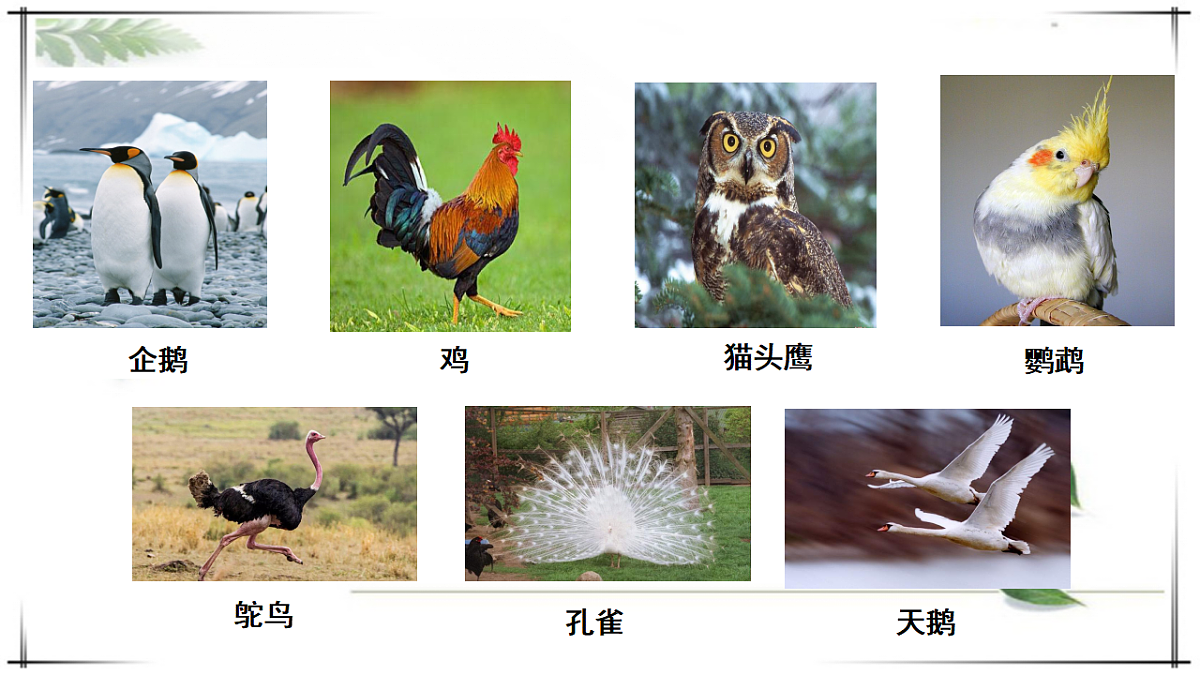 17678253第2页