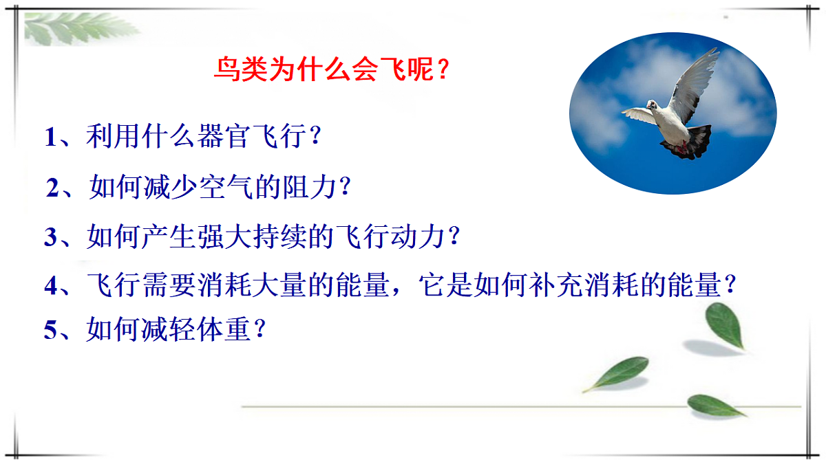 17678253第4页