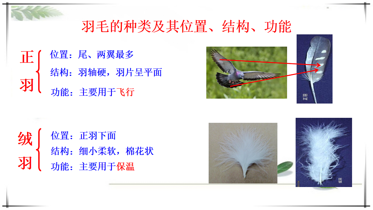 17678253第6页