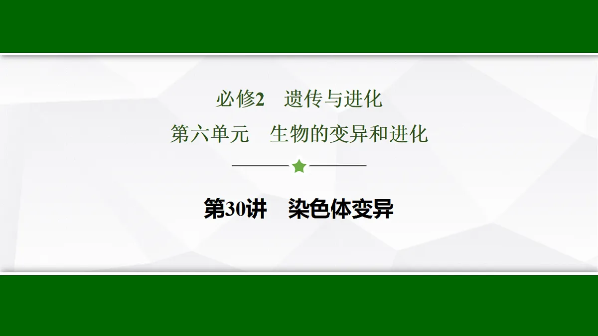 17678406第1页
