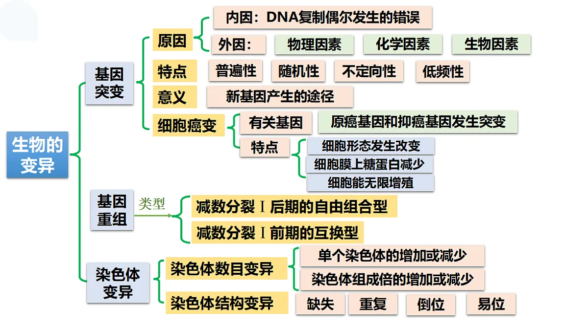 17678406第2页