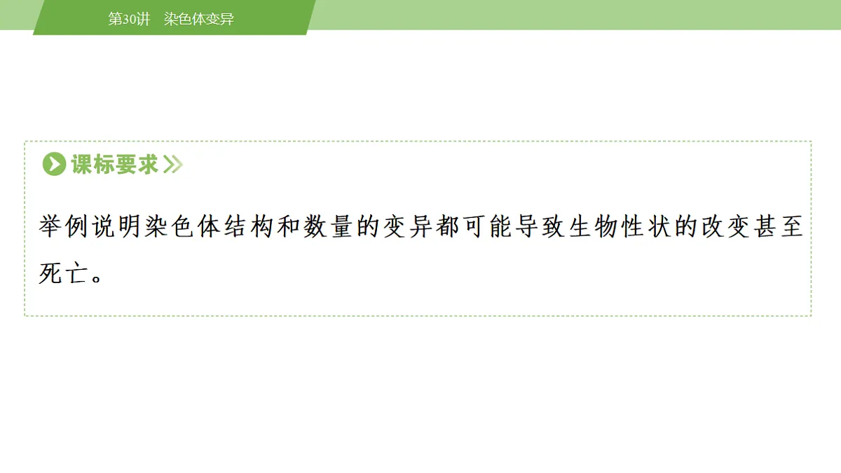 17678406第3页