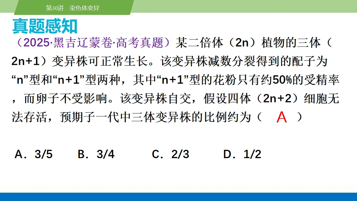 17678406第4页