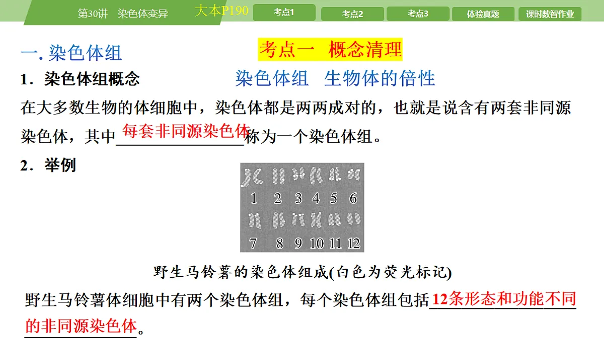 17678406第5页
