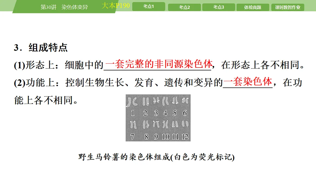 17678406第6页